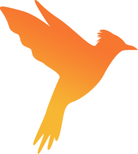 vogel-kopie